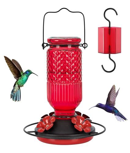 Feed Garden Glass Hummingbird Feeder