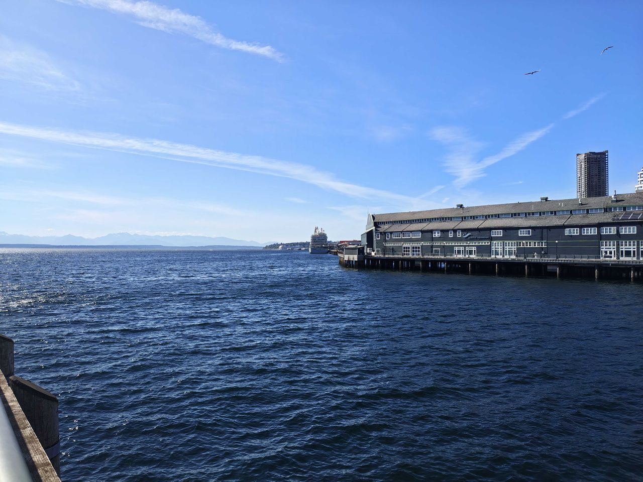 A cruise ship in the distance next to a pier