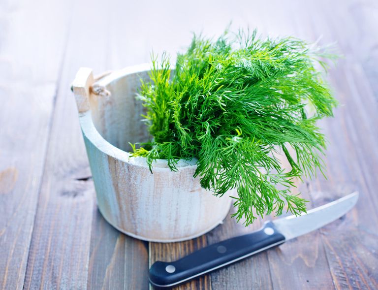 dill plants in a wooden tub