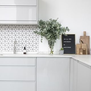 kitchen with white coloured and potted plant