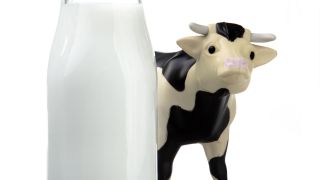 Vs. Cow's Milk