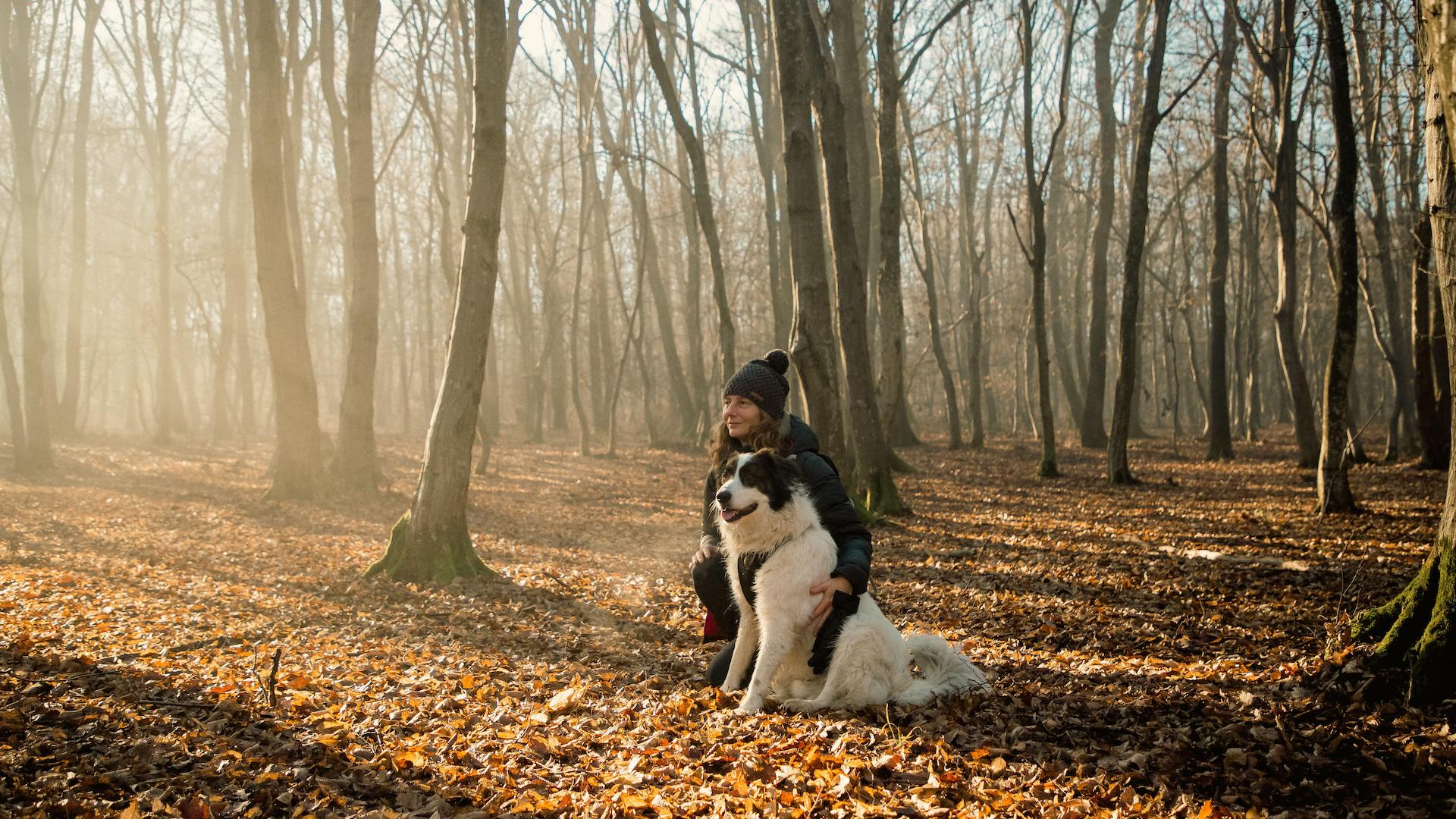 Woman bonding with her dog in foggy forest.