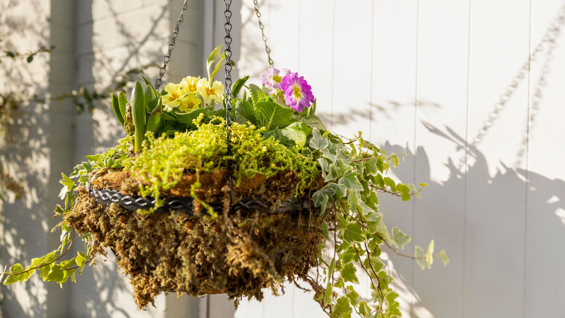Planted hanging basket