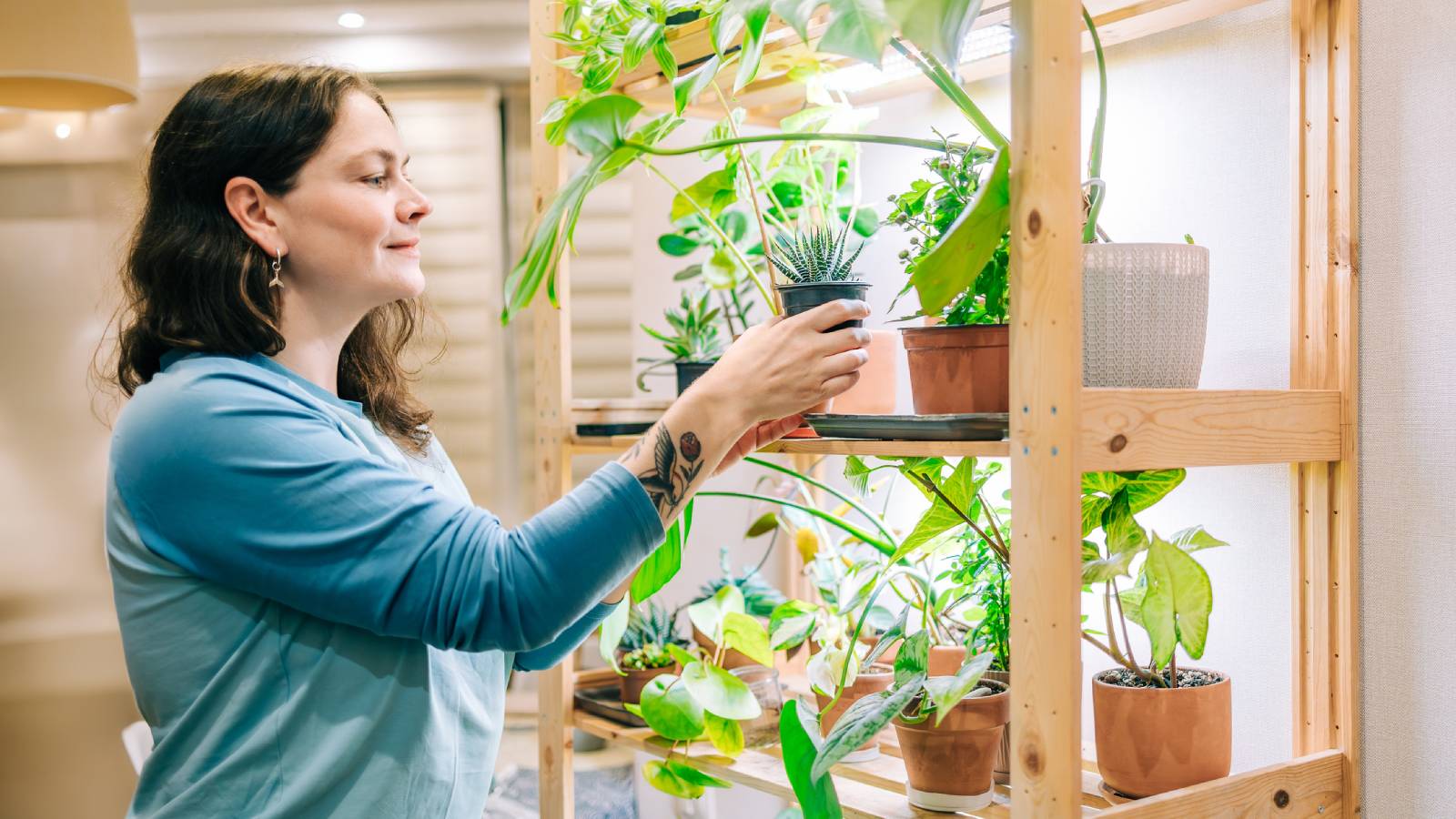 A woman picks up a plant from a shelf of houseplants under grow lights
