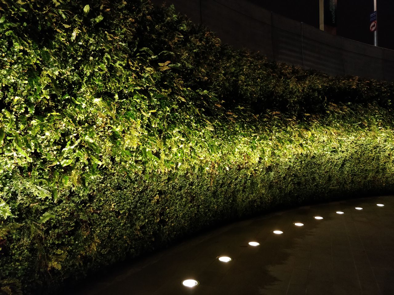 OnePlus has improved low light performance, and this striking shot proves it