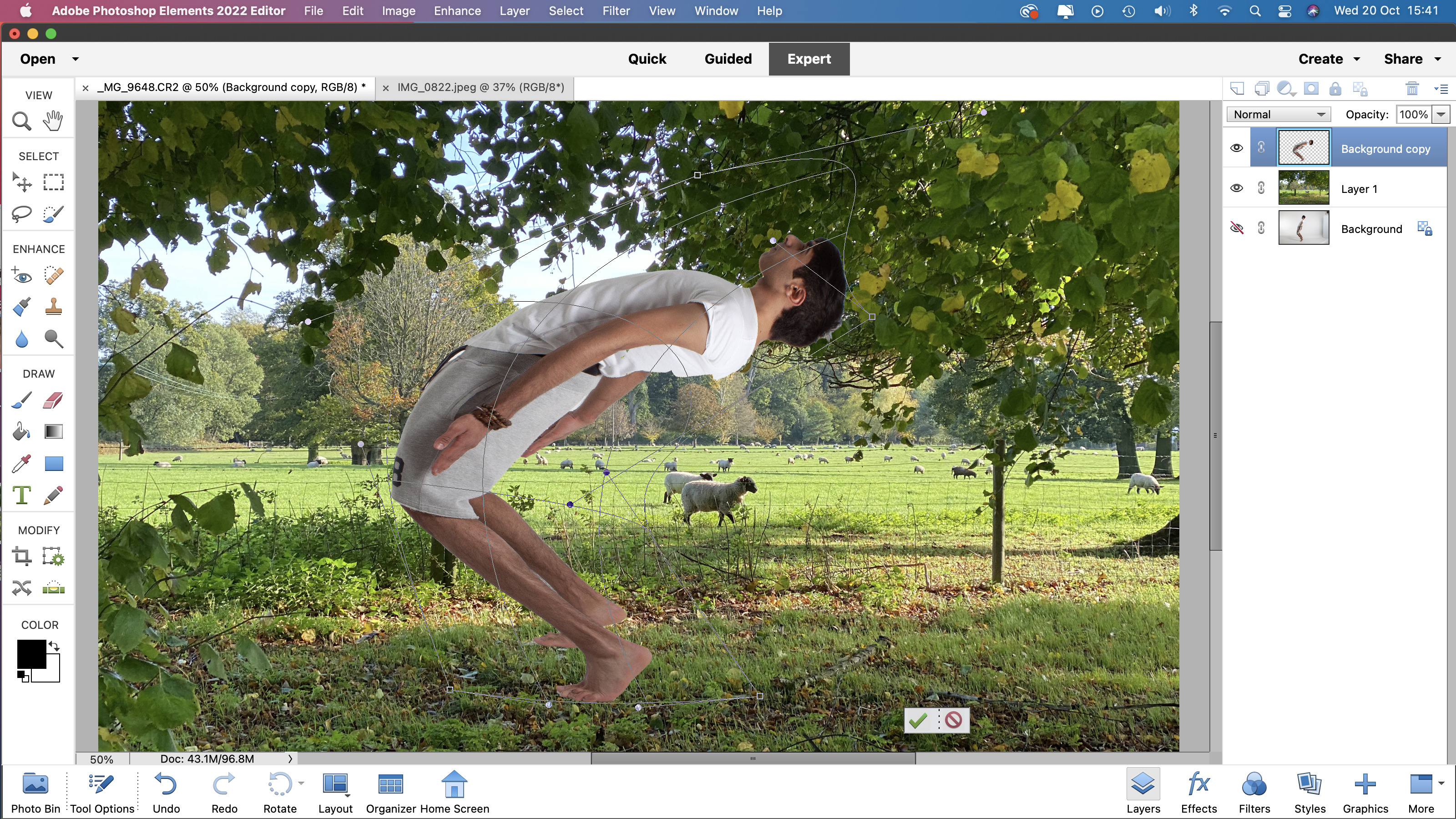 photoshop elements for mac for cheap