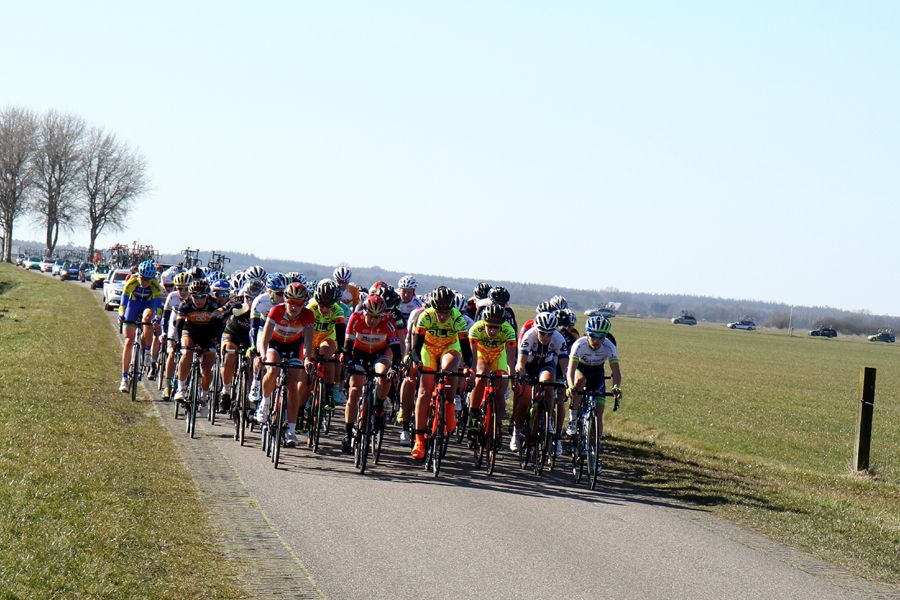 The Drentse 8 peloton