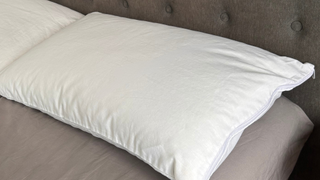 Amazon white cotton zip allergy pillow protector on Megan's grey bed