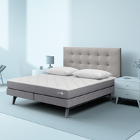 Sleep Number c1 Smart Bed