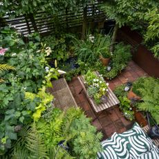 Small garden overhead
