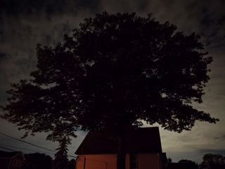 Motorola Razr Plus 2026 camera sample.