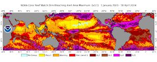 NOAA Coral Reef Watch's global 5km-resolution satellite Coral Bleaching Alert Area Maximum map, for January 1, 2023 to April 10, 2024. This figure shows the regions, around the globe, that experienced high levels of marine heat stress (Bleaching Alert Levels 2-5) that can cause reef-wide coral bleaching and mortality.