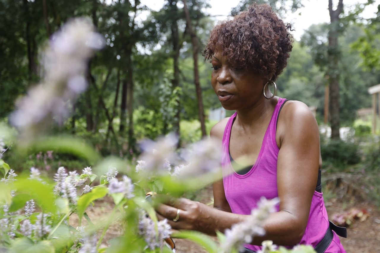 The Urban Food Forest.