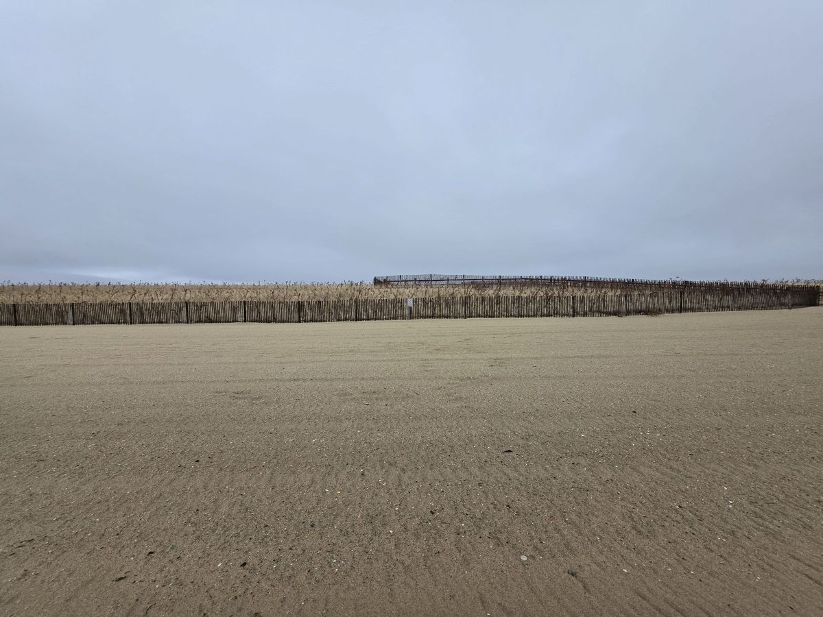 Samsung Galaxy S25 Ultra ultrawide sample.