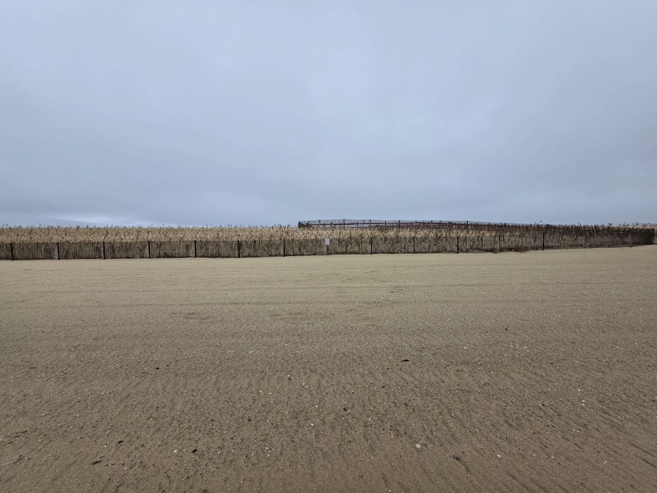 Samsung Galaxy S25 Ultra ultrawide sample.