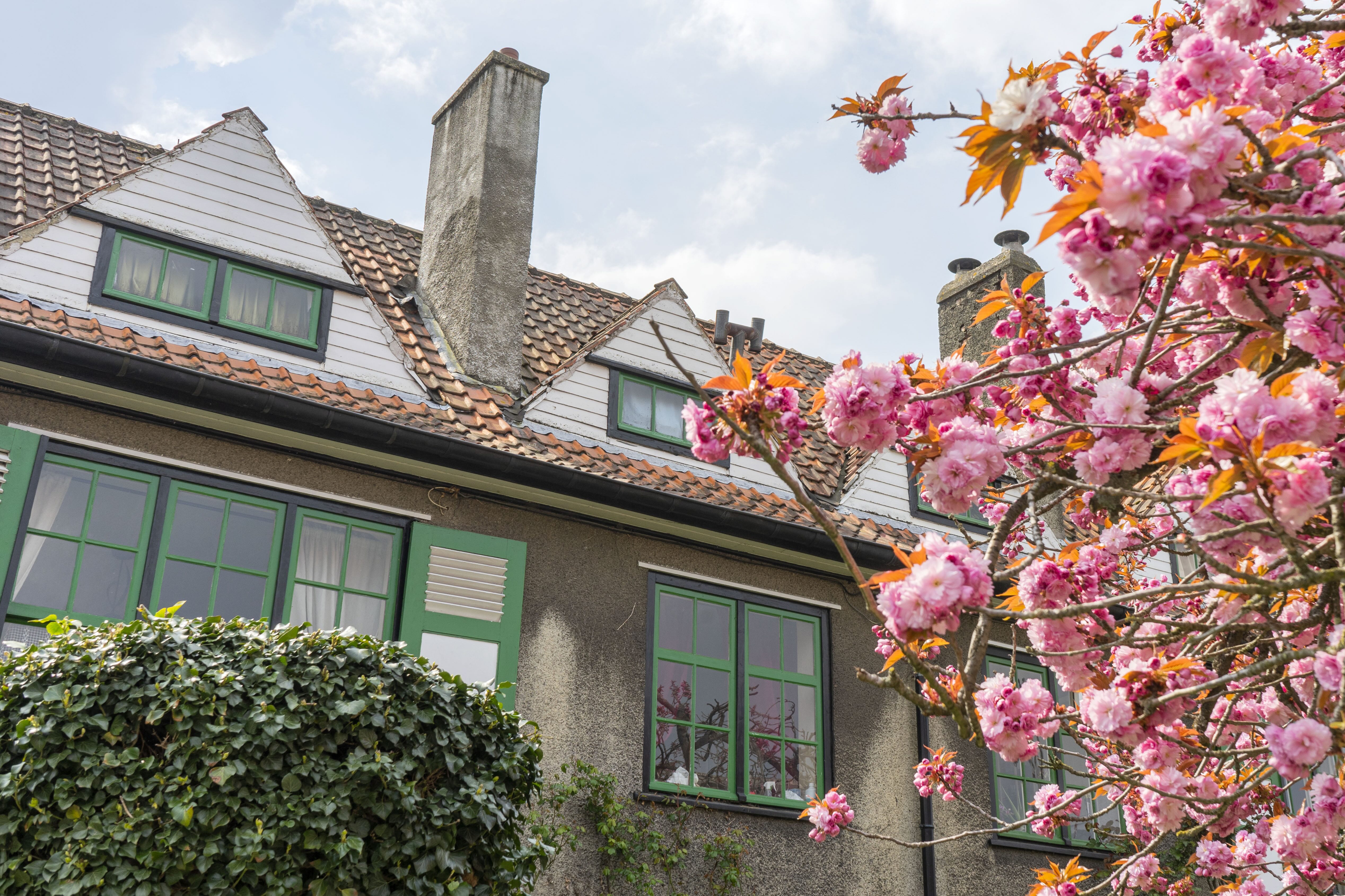 A close up of a house in Le Logis. There is a beautiful pink blossom in the foreground