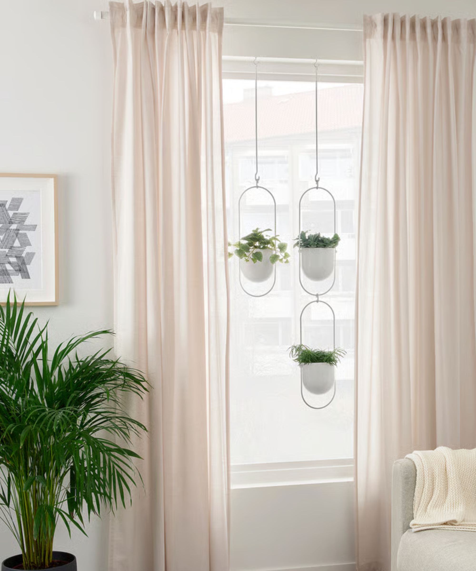 Hanging planters attached together in a living room with cream gauze curtains and a white couch