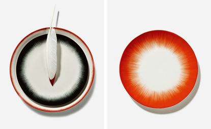 The photo to the left shows a plate with a red edge and a black circle with fuzzy edges on the inside. The photo to the right shows a plate with red edges with a fuzzy end on the inside.