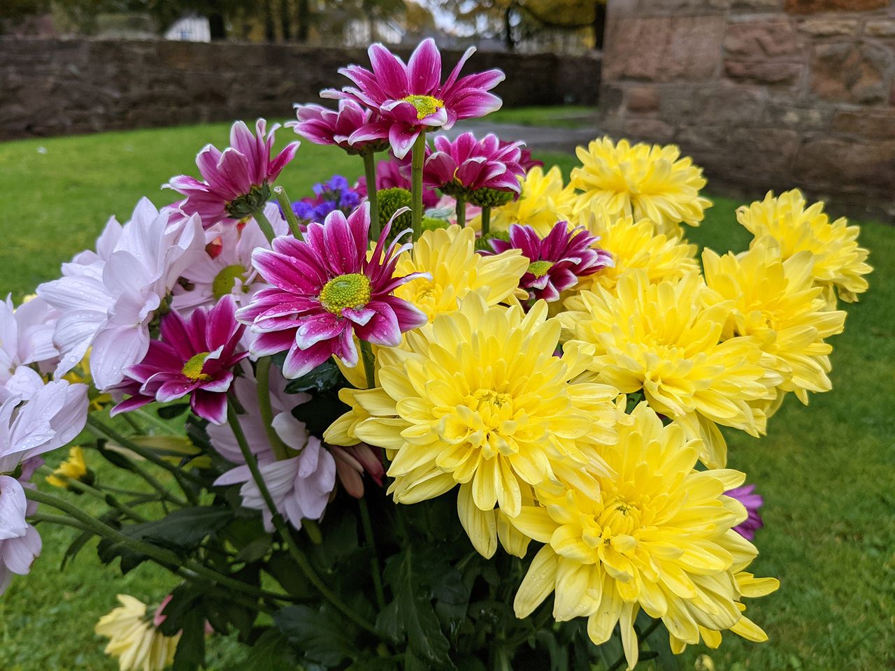 Google Pixel 5 camera sample