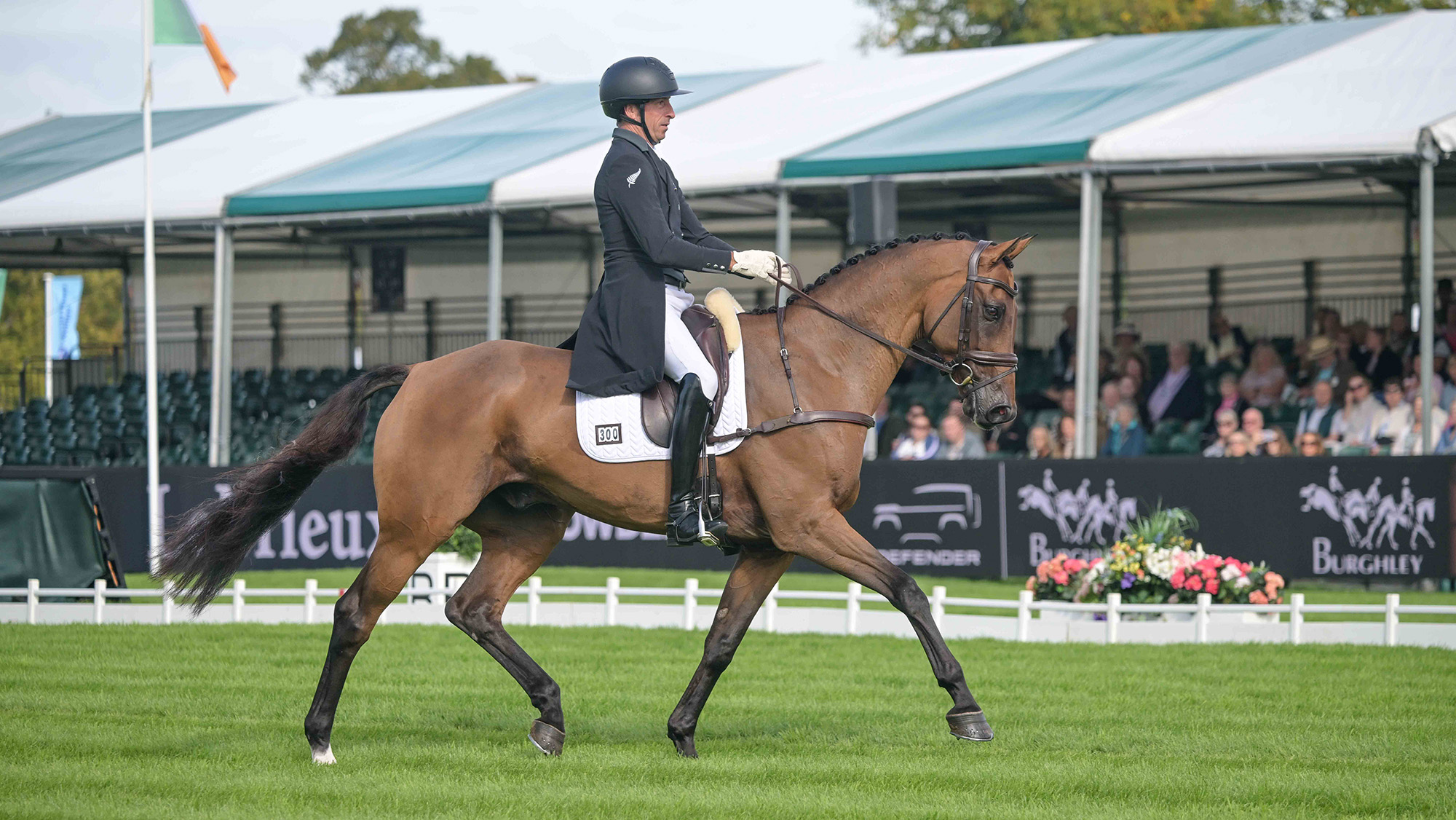 Tim Price, a rider in a black tailcoat, rides bay horse Global Quest in the Burghley dressage 2026