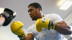 Anthony Joshua UFC boxing