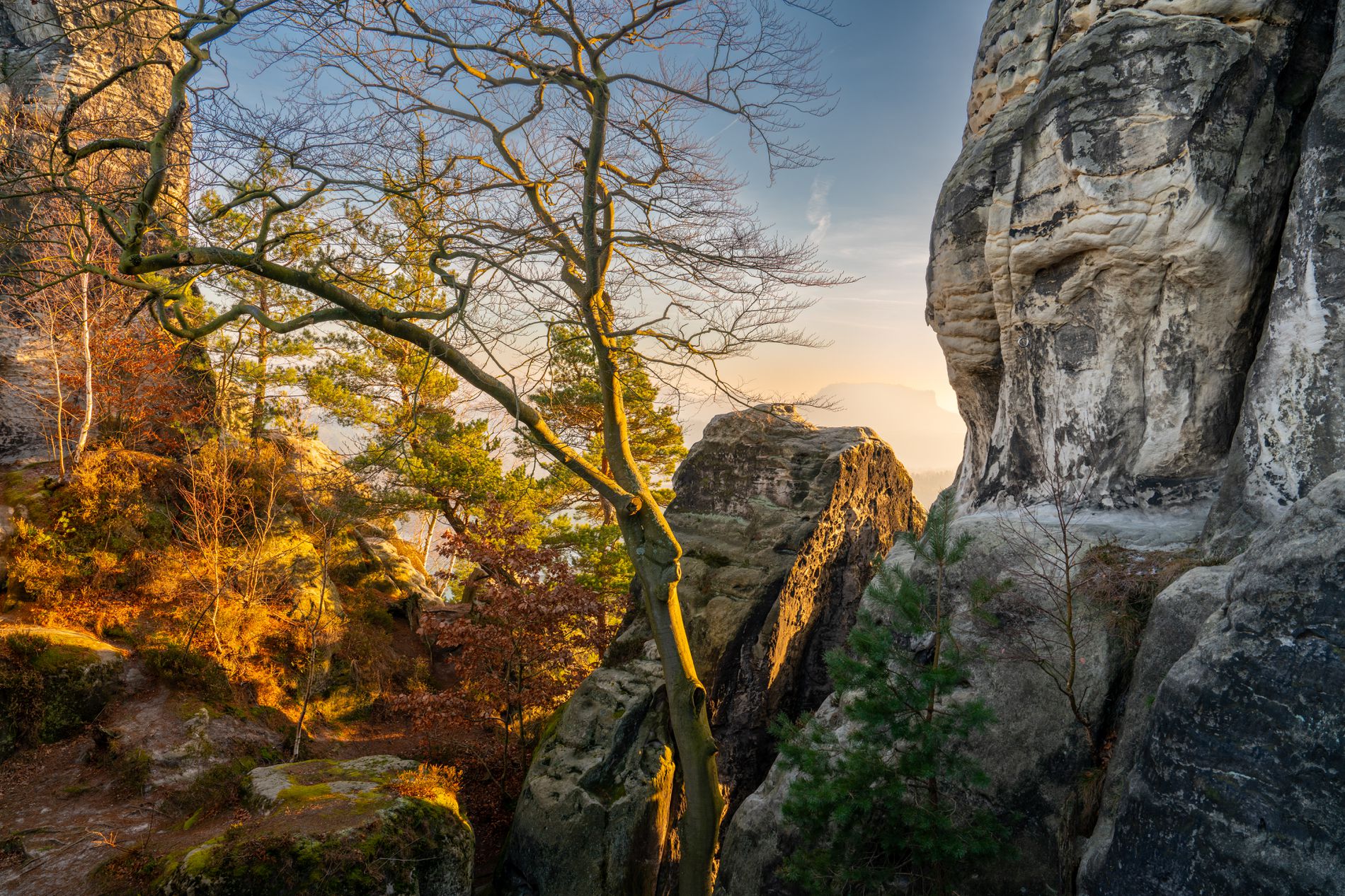 GuruShots - Nature&rsquo;s Masterpiece 2026