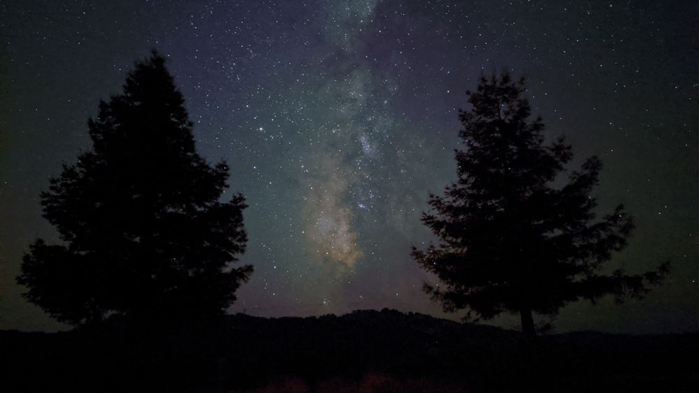Google&rsquo;s image shot on Pixel 4