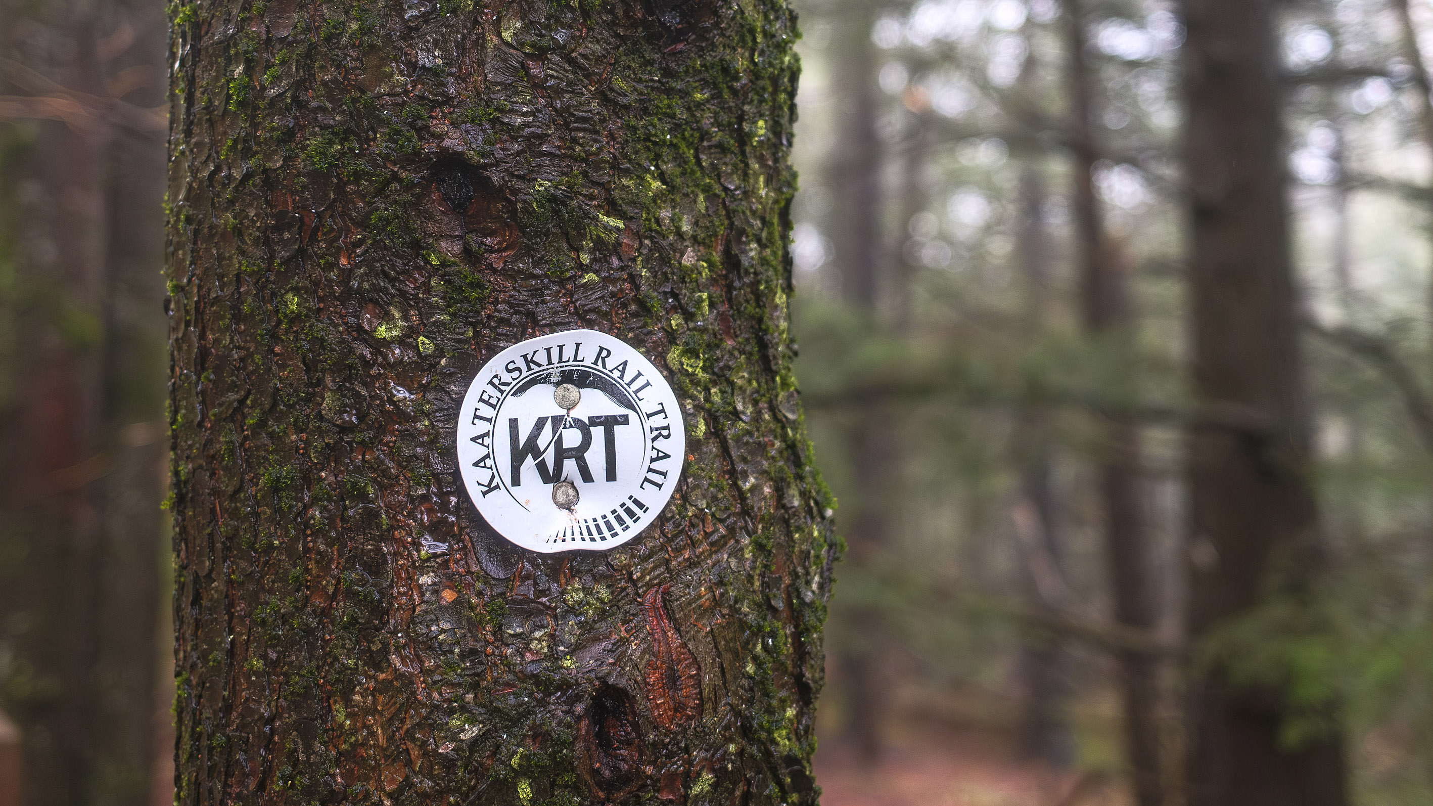 Close-up of a trail marker that says Kaaterskill Rail Trail
