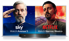 Sky TV Netflix deals