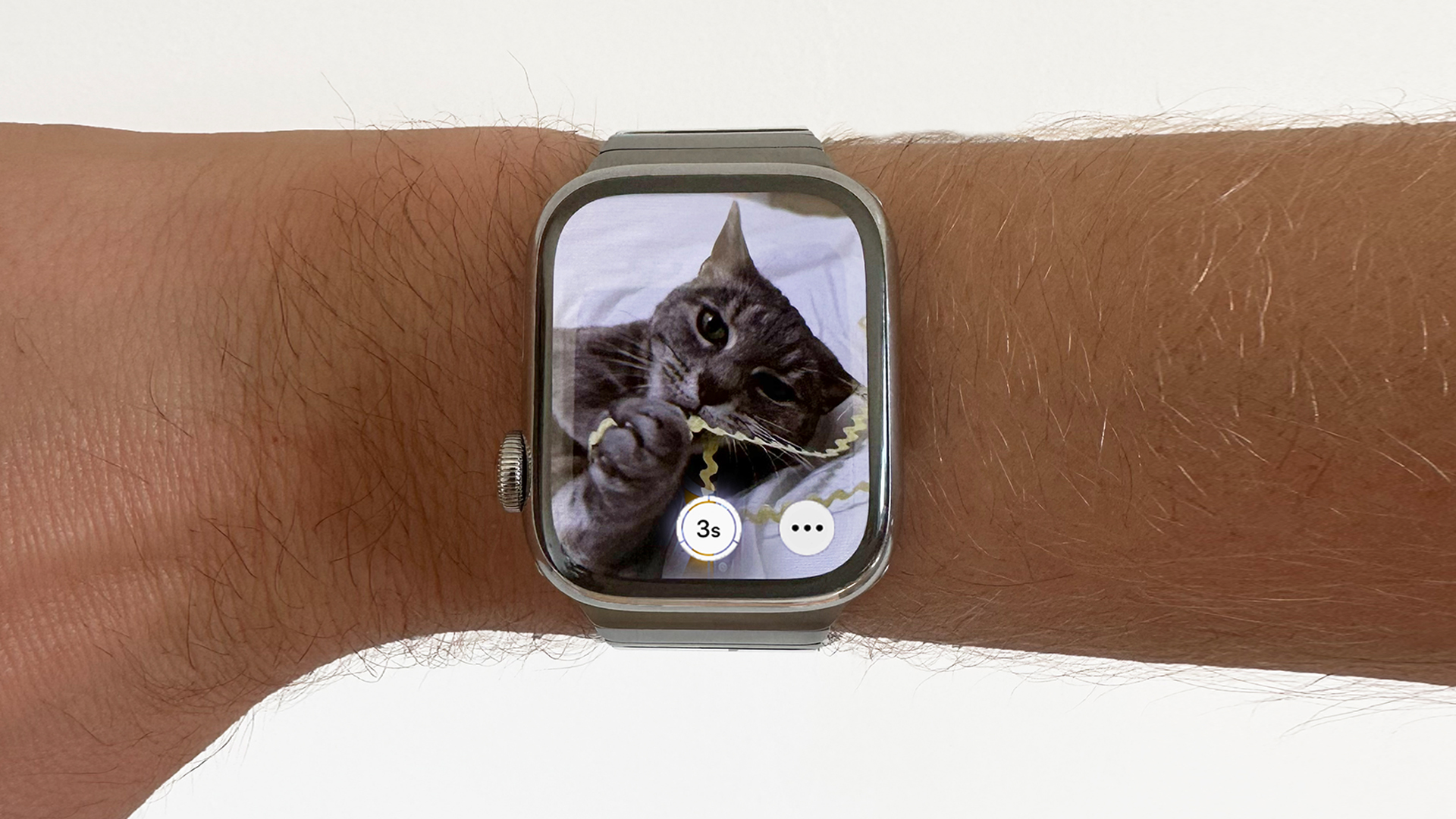 An Apple Watch with a photo of a cat viewed through the Camera Remote app
