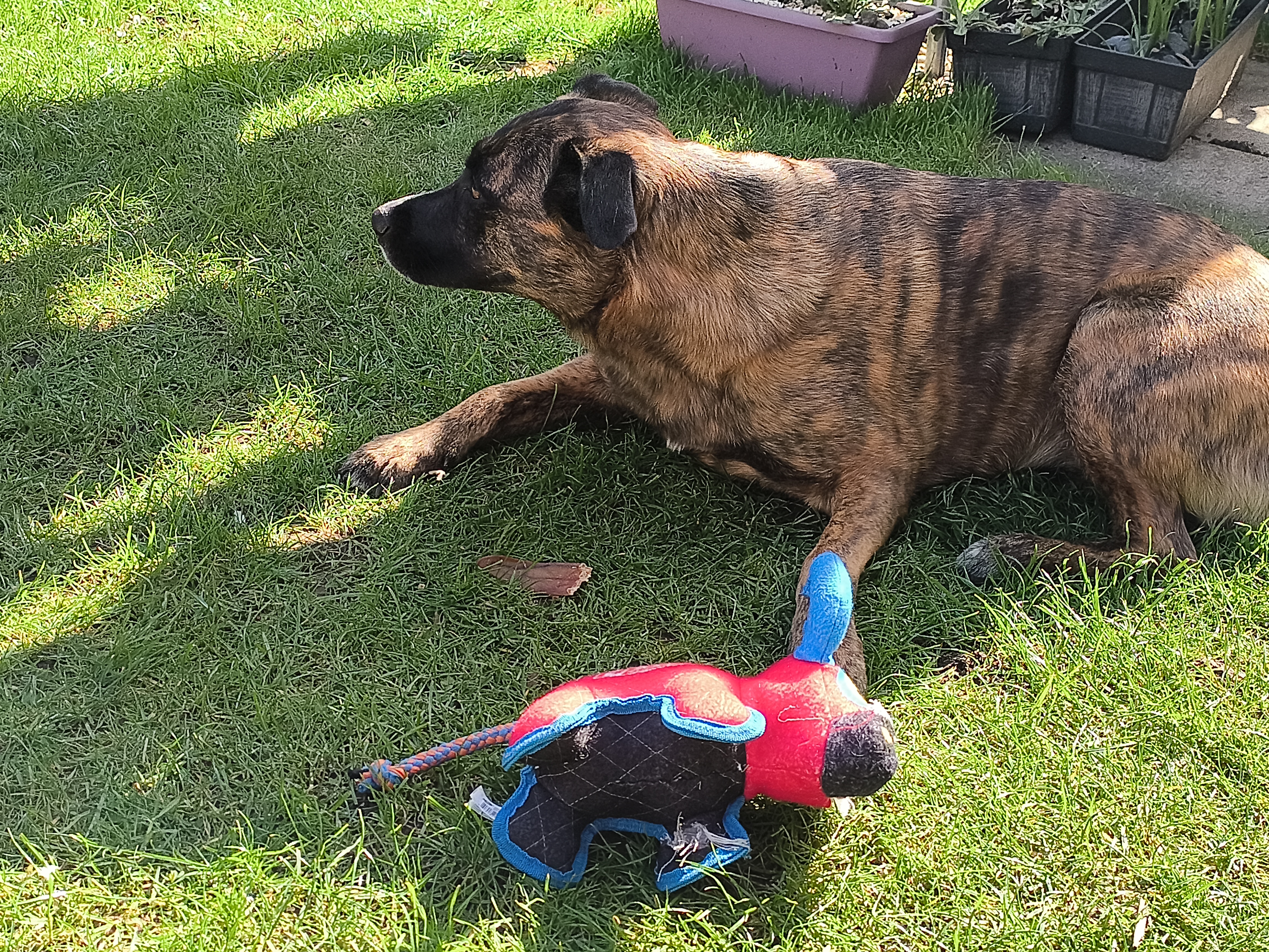 Punkt. MC03 Example Photos