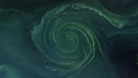A massive green swirl of algae in the sea