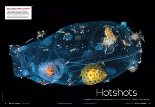 Image of first two pages of Hotshots gallery, the winners of HIPA's Diversity photo competition, Digital Camera magazine February 2024