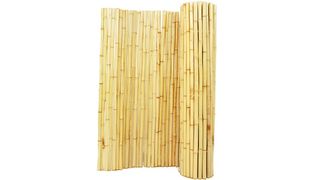 bamboo fencing