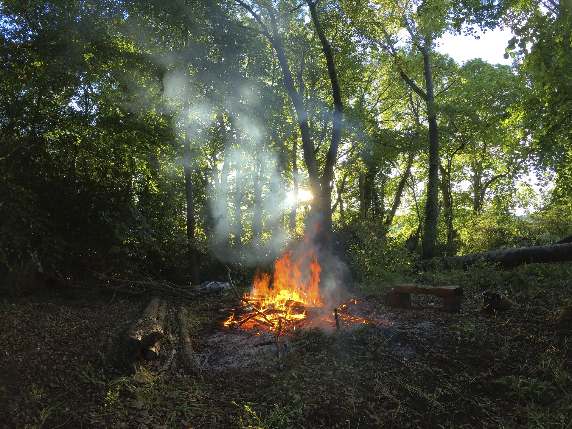 A backlit fire in the woods, taken with the Insta360 Go 3S