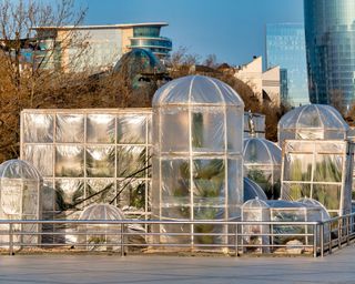 Green house made of plastic sheets to protect trees from the cold