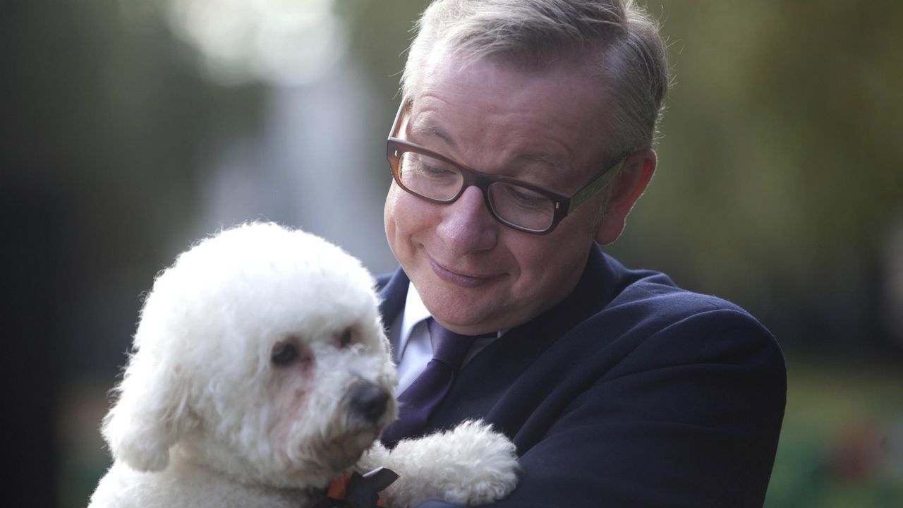 Michael Gove, Dog