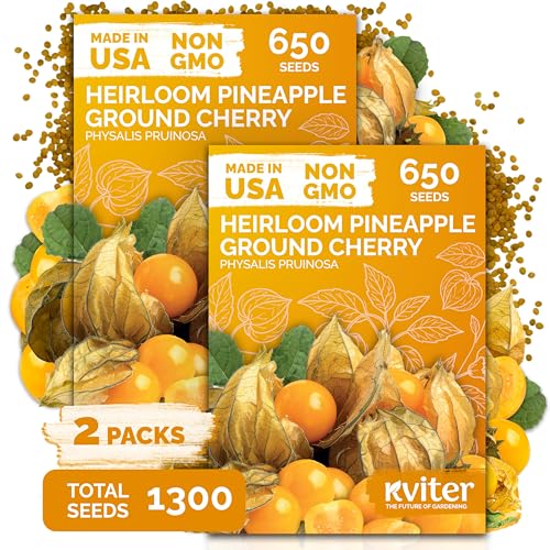 1,300 Pineapple Ground Cherry Heirloom Vegetable Seeds, Physalis Pruinosa