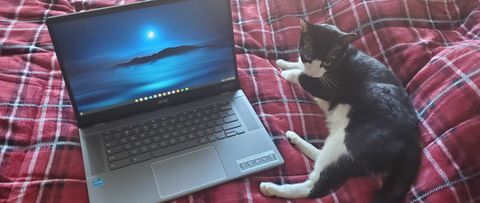 chromebook plus laptop sitting on bed with cat