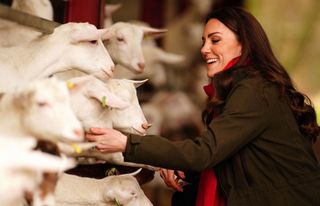Britain's Catherine, Duchess of Cambridge, react as she meet goats during her visit to Pant Farm, a goat farm that has been providing milk to a local cheese producer for nearly 20 years, near Abergavenny, south Wales