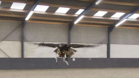 eagle-drone.jpg