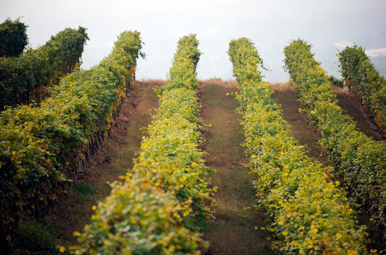 Alto Piemonte Latest Releases