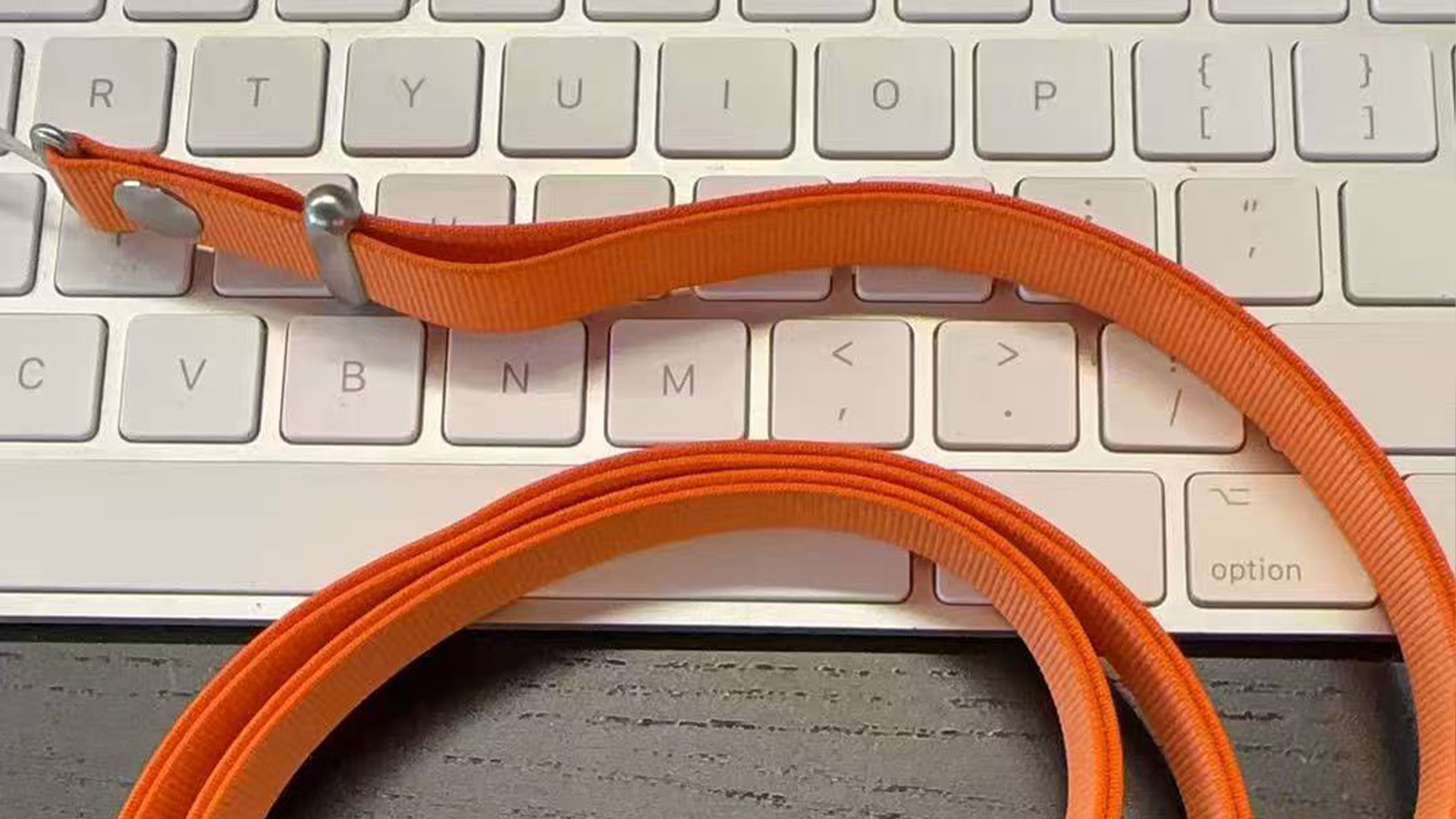 Sonny Dickson iPhone strap