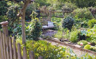 garden bench in a vegetable plot
