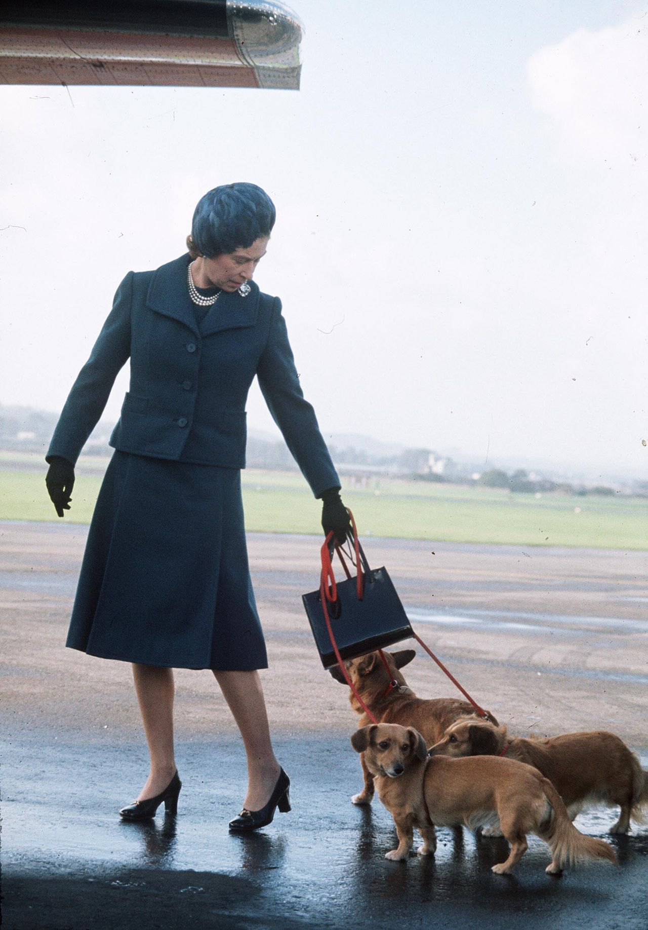 The Queen and Corgis Aberdeen Airport