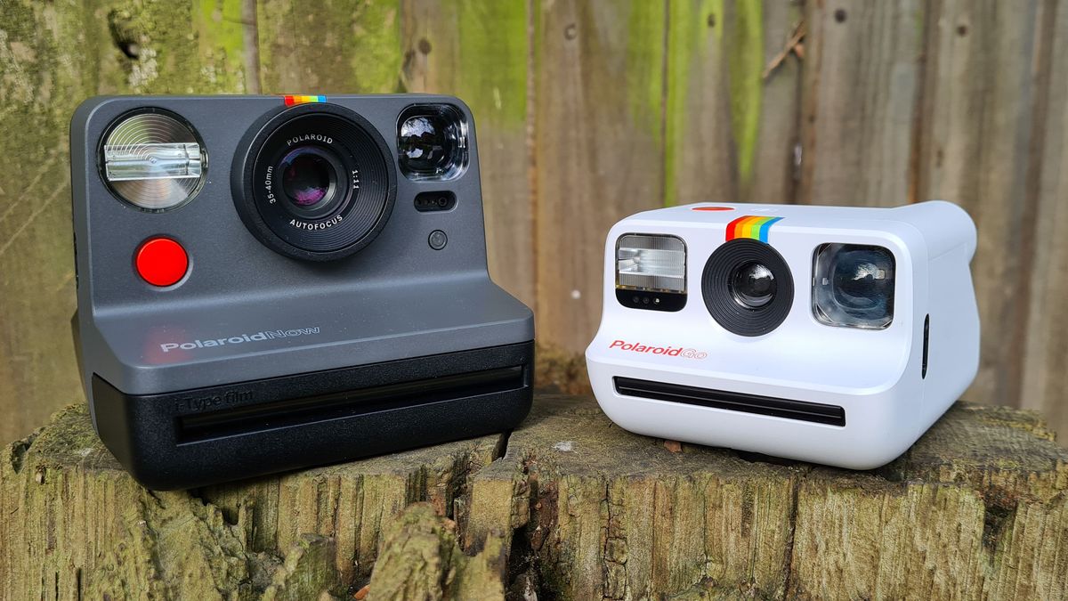 Polaroid Go vs Polaroid Now: which is the best instant camera for you?