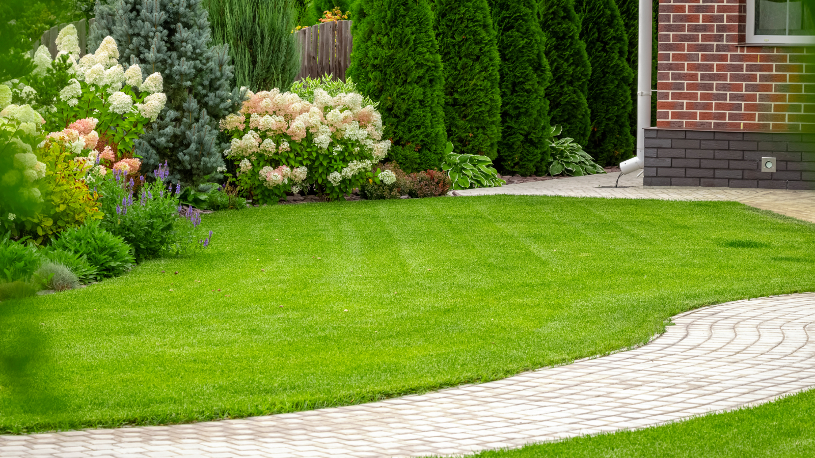Lawn, path, and landscaping 