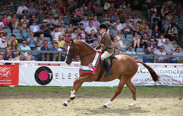Royal Welsh Show 2018