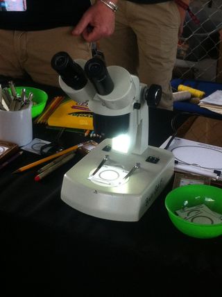 Microscopes at Maker Faire