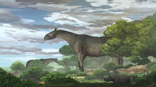 An illustration of Paraceratherium linxiaense chomping down on vegetation on what is now the northeastern Tibetan Plateau about 26.5 million years ago, during the late Oligocene epoch.